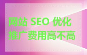 网站 SEO 优化推广费用高不高