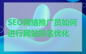 SEO网络推广员如何进行网站排名优化