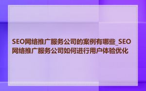 SEO网络推广服务公司的案例有哪些_SEO网络推广服务公司如何进行用户体验优化