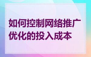 如何控制网络推广优化的投入成本