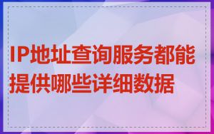 IP地址查询服务都能提供哪些详细数据