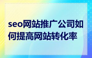 seo网站推广公司如何提高网站转化率