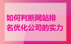 如何判断网站排名优化公司的实力