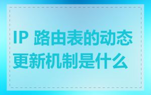 IP 路由表的动态更新机制是什么