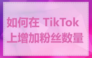 如何在 TikTok 上增加粉丝数量