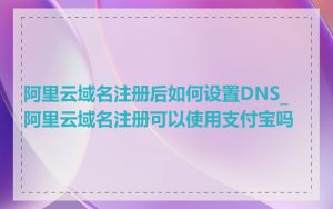 阿里云域名注册后如何设置DNS_阿里云域名注册可以使用支付宝吗