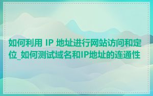 如何利用 IP 地址进行网站访问和定位_如何测试域名和IP地址的连通性