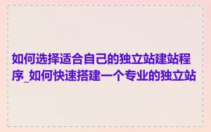 如何选择适合自己的独立站建站程序_如何快速搭建一个专业的独立站