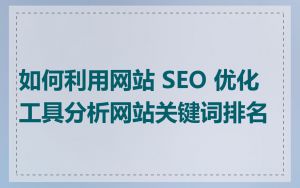 如何利用网站 SEO 优化工具分析网站关键词排名