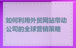 如何利用外贸网站带动公司的全球营销策略