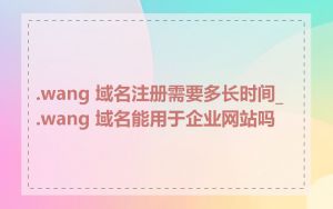 .wang 域名注册需要多长时间_.wang 域名能用于企业网站吗