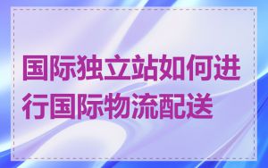 国际独立站如何进行国际物流配送