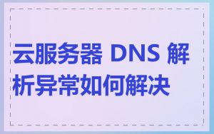 云服务器 DNS 解析异常如何解决