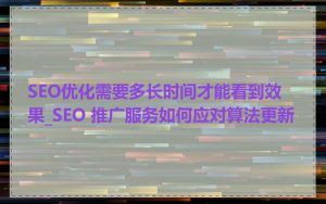 SEO优化需要多长时间才能看到效果_SEO 推广服务如何应对算法更新