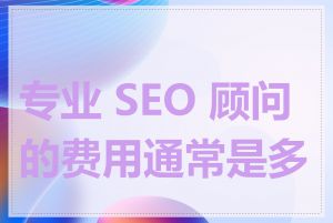 专业 SEO 顾问的费用通常是多少