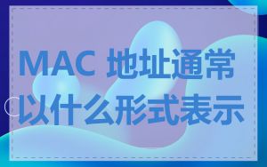 MAC 地址通常以什么形式表示