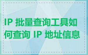 IP 批量查询工具如何查询 IP 地址信息