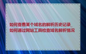 如何查看某个域名的解析历史记录_如何通过网站工具检查域名解析情况