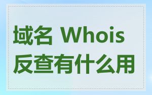 域名 Whois 反查有什么用