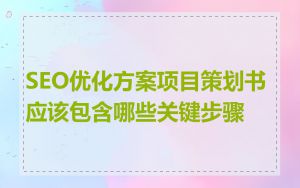 SEO优化方案项目策划书应该包含哪些关键步骤