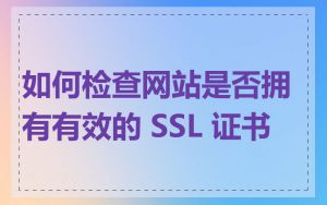 如何检查网站是否拥有有效的 SSL 证书