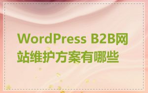 WordPress B2B网站维护方案有哪些