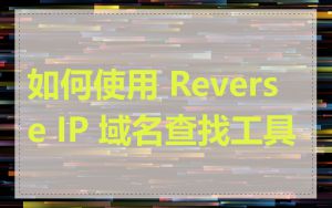 如何使用 Reverse IP 域名查找工具