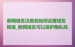 新网域名注册后如何设置域名转发_新网域名可以保护隐私吗