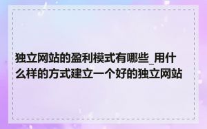 独立网站的盈利模式有哪些_用什么样的方式建立一个好的独立网站