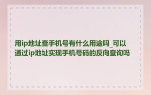 用ip地址查手机号有什么用途吗_可以通过ip地址实现手机号码的反向查询吗