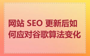 网站 SEO 更新后如何应对谷歌算法变化