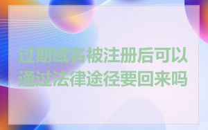 过期域名被注册后可以通过法律途径要回来吗