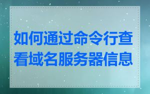 如何通过命令行查看域名服务器信息