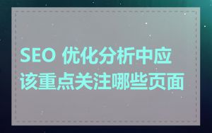 SEO 优化分析中应该重点关注哪些页面