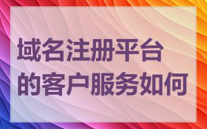 域名注册平台的客户服务如何