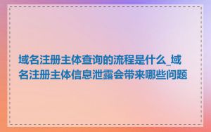 域名注册主体查询的流程是什么_域名注册主体信息泄露会带来哪些问题