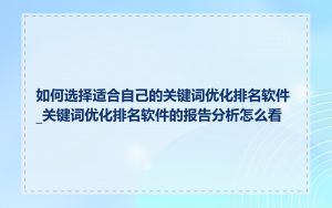 如何选择适合自己的关键词优化排名软件_关键词优化排名软件的报告分析怎么看