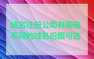 域名注册公司有哪些不同的域名后缀可选