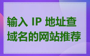 输入 IP 地址查域名的网站推荐