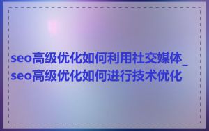 seo高级优化如何利用社交媒体_seo高级优化如何进行技术优化