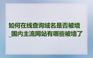 如何在线查询域名是否被墙_国内主流网站有哪些被墙了