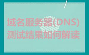 域名服务器(DNS)测试结果如何解读