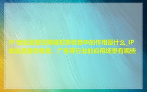 IP 地址追查在网络犯罪侦查中的作用是什么_IP 地址追查在电商、广告等行业的应用场景有哪些