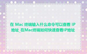 在 Mac 终端输入什么命令可以查看 IP 地址_在Mac终端如何快速查看IP地址