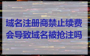 域名注册商禁止续费会导致域名被抢注吗