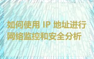 如何使用 IP 地址进行网络监控和安全分析