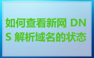 如何查看新网 DNS 解析域名的状态