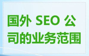 国外 SEO 公司的业务范围