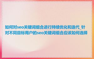 如何对seo关键词组合进行持续优化和迭代_针对不同目标用户的seo关键词组合应该如何选择