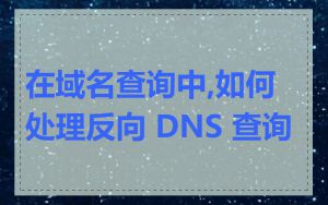 在域名查询中,如何处理反向 DNS 查询